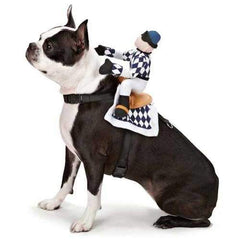 Show Jockey Saddle Dog Costume