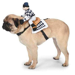 Show Jockey Saddle Dog Costume