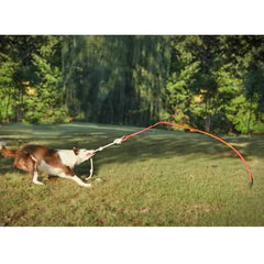 Tether Tug Dog Toy