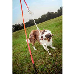 Tether Tug Dog Toy