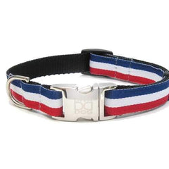 Patriotic Pooch Dog Collar and Leash Set by Diva Dog