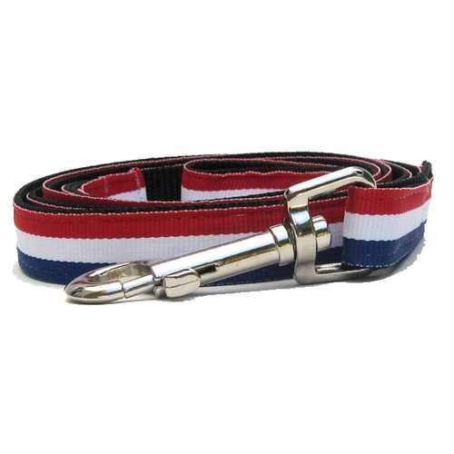 Patriotic Pooch Dog Collar and Leash Set by Diva Dog