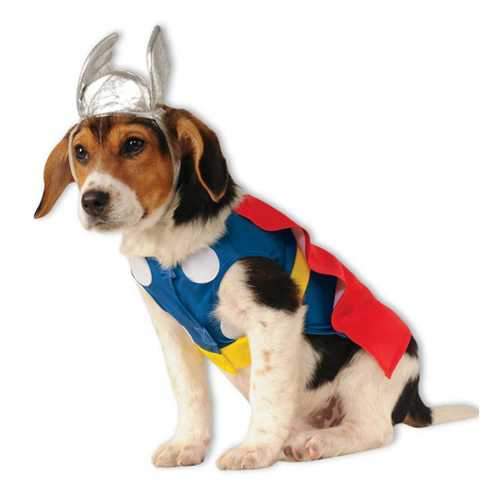 Marvel Thor Dog Costume