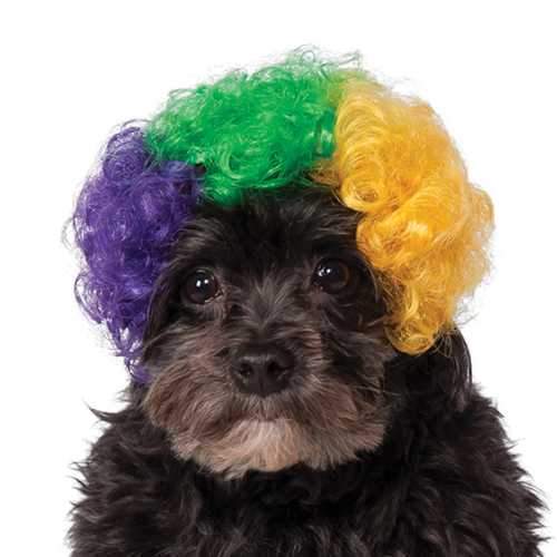 Rubie's Mardi Gras Afro Dog Wig