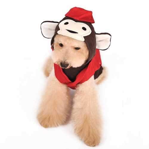 Circus Monkey Dog Hoodie Sweatshirt by Dogo
