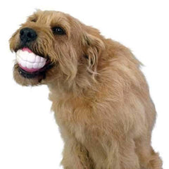 Humunga Chomp Dog Toy
