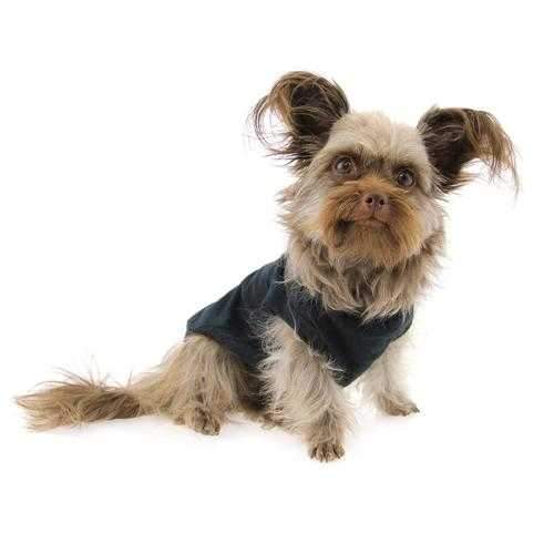 Barking Basics Dog Tank Shirt - Black