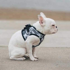 American River Camo Choke-Free Dog Harness - Gray