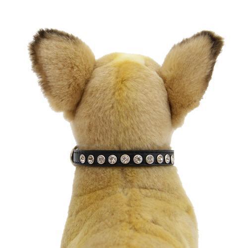 Clear Crystal Puppy Black Dog Collar