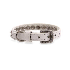 Bright Pink Crystal Puppy White Dog Collar