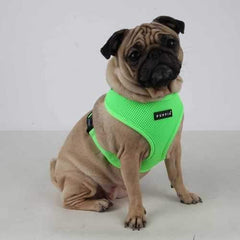 Neon Soft Adjustable Dog Harness by Puppia - Green