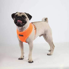 Neon Soft Adjustable Dog Harness by Puppia - Orange