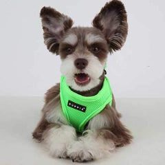 Neon Mesh Soft Dog Harness Vest by Puppia - Green
