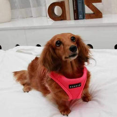 Neon Mesh Soft Dog Harness Vest by Puppia - Pink