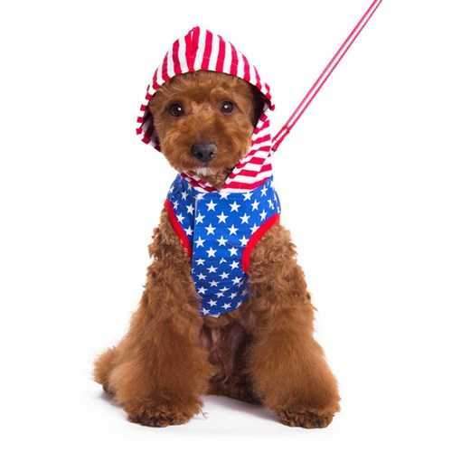 Easy-D USA Dog Hoodie by Dogo