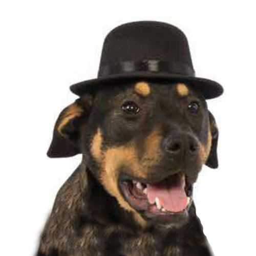 Rubie's Top Hat Dog Costume - Black