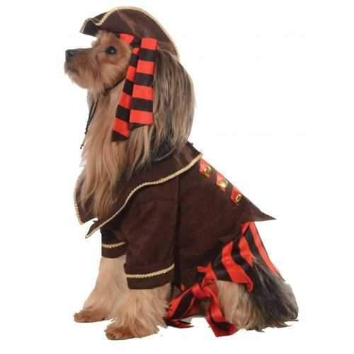 Rubies Pirate Boy Dog Costume