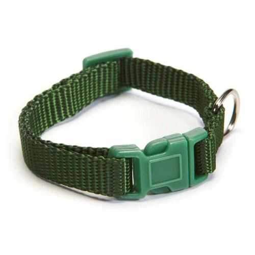 Nylon Dog Collar by Zack and Zoey - Hunter Green