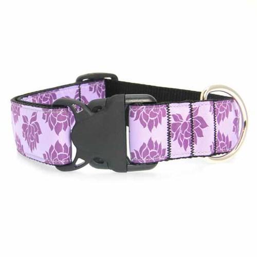 Nirvana Wide Clip Adjustable Dog Collar