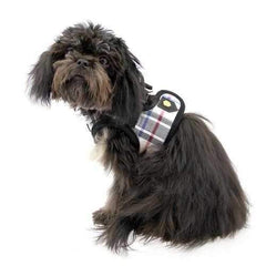Junior Dog Harness Vest by Puppia - Black