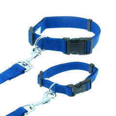 Barking Basics Dog Collar - Blue
