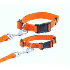 Barking Basics Dog Collar - Orange