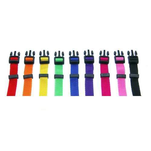 Barking Basics Dog Collar - Red