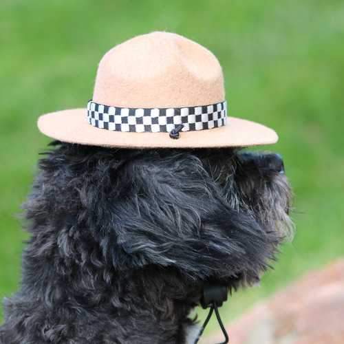 Drill Sergeant Dog Hat - Camel
