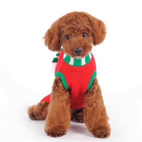 Mitten Scarf Dog Sweater by Dogo