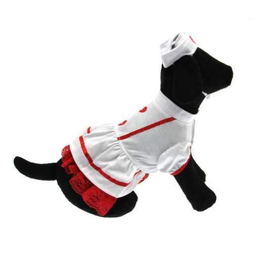 Sweet Heart Nurse Halloween Dog Costume