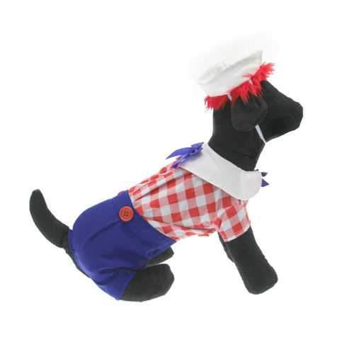 Ragdoll Halloween Dog Costume - Boy