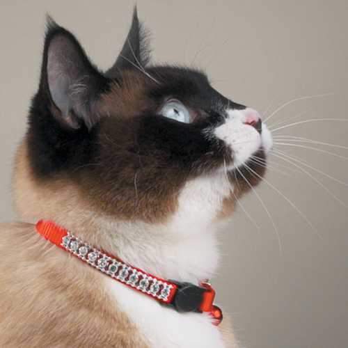 Meow Town Rhinestone Cat Collar - Red
