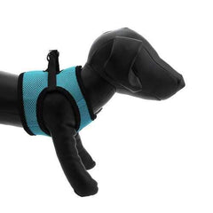 Step-in Cirque Dog Harness - Teal