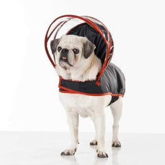 Push Pushi Rainbow Line Dog Raincoat - Black with Red Trim