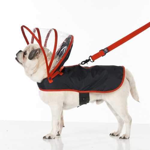Push Pushi Rainbow Line Dog Raincoat - Black with Red Trim
