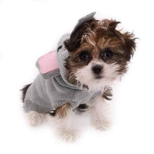 Worthy Dog Elephant Hop Dog Hoodie