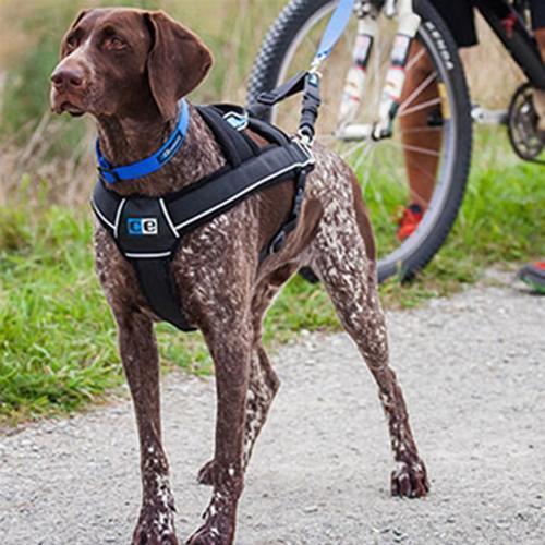 Ultimate Pulling Dog Harness by Canine Equipment - Black