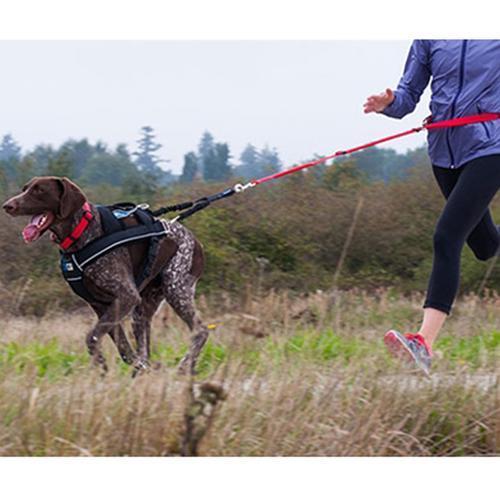 Ultimate Pulling Dog Harness by Canine Equipment - Black