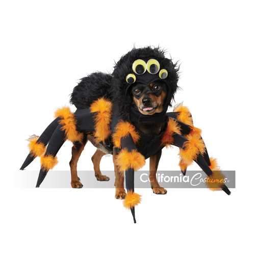 Spider Pup Dog Costume