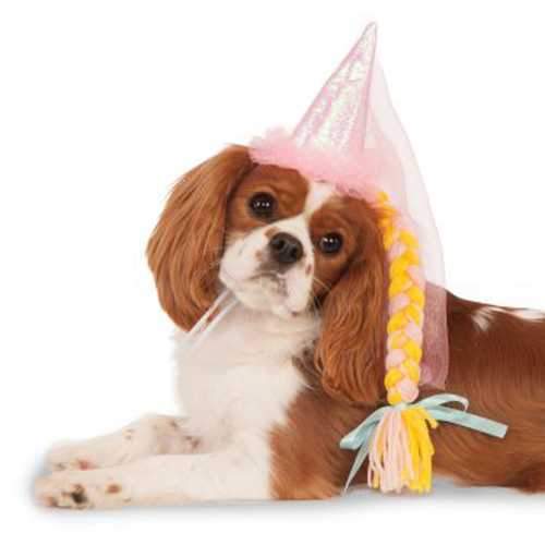 Princess Dog Hat with Braid - Pink