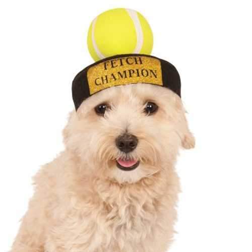 Fetch Champion Hat Dog Costume