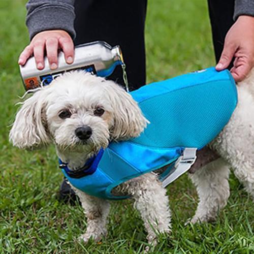 Ultimate Cooling Dog Coat by Canine Equipment