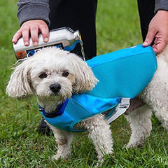Ultimate Cooling Dog Coat by Canine Equipment