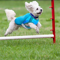 Ultimate Cooling Dog Coat by Canine Equipment