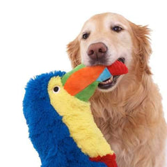 Soda Pop Critters Dog Toy - Toucan