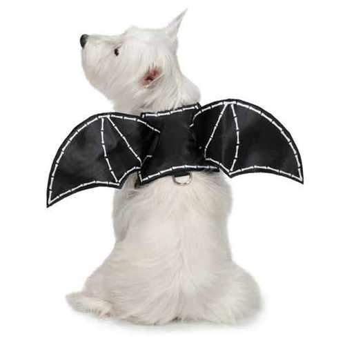 Zack and Zoey Bat Glow Wing Dog Harness Costume