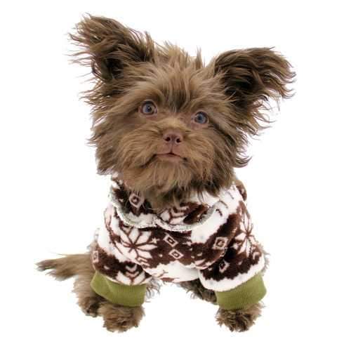 Zack and Zoey Forest Friends Reversible Dog Hoodie - Green