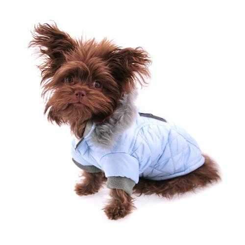 Zack and Zoey Quilted Thermal Dog Parka - Blue