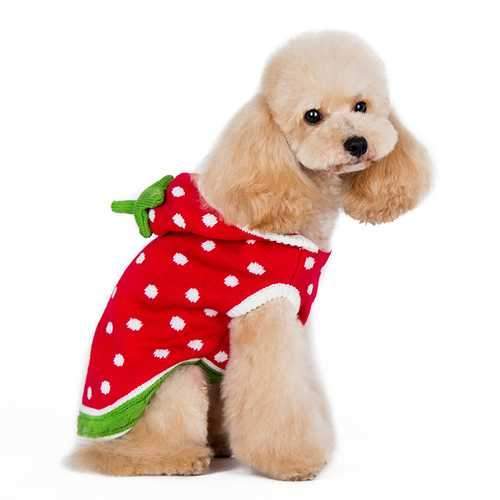 Strawberry Dog Sweater by Dogo - Red
