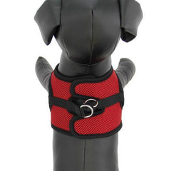 Step-in Cirque Dog Harness - Red